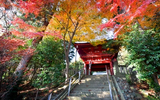 「文化財（寺社仏閣）」の画像