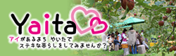移住定住バナー