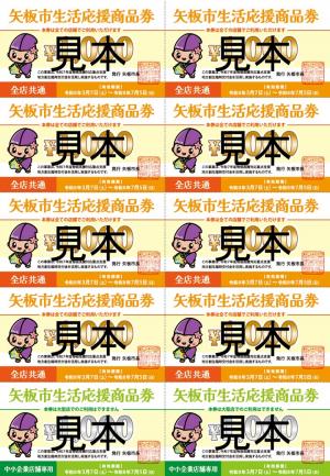商品券見本
