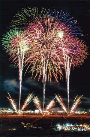 冬空に咲く大輪の花