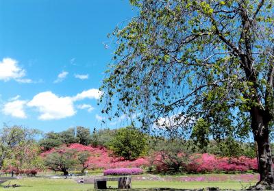 特等席は予約席