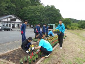 花壇　花植え