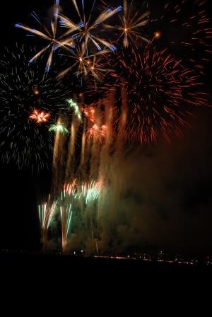 夜空の華の写真