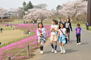 桜に浮れての写真