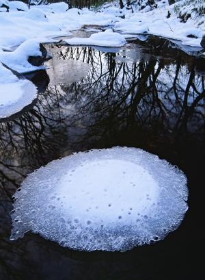 冬の贈りものの写真