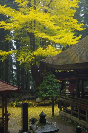 寺山暮秋の写真