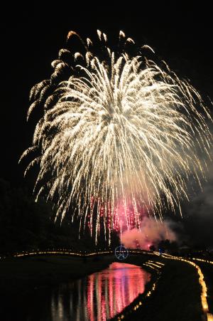 夜空を飾る大輪の写真