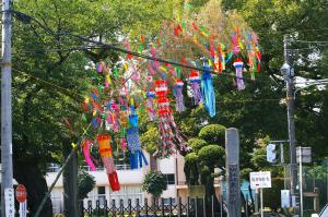 天の川にて二人の出会いの写真