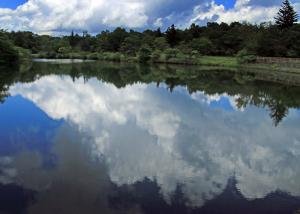 夏の湖の写真