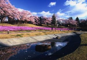 日本公園100選