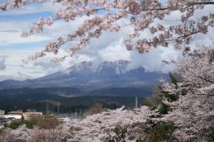 桜と高原山