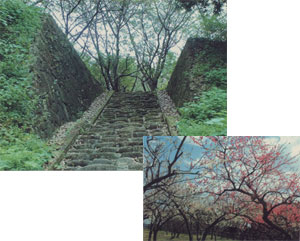 川崎城跡公園の写真