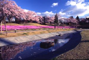 長峰公園の写真