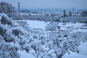 雪化粧の写真