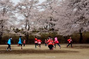 祭りの日の写真