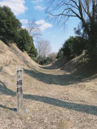 川崎城