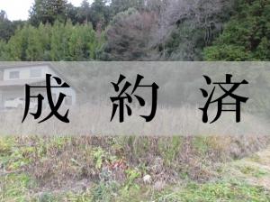 成約済