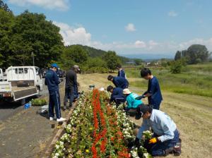 花を植えた後の整理