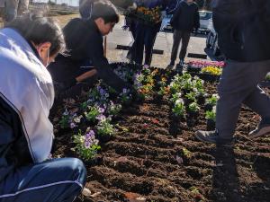 花を植える生徒と会員