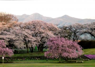 長峰公園早朝の絶景