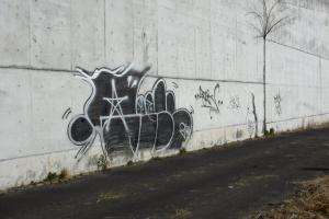 DSCF5437.JPG