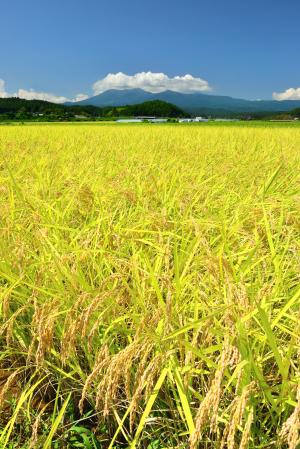推薦　舟橋哲次　高原山の恵み