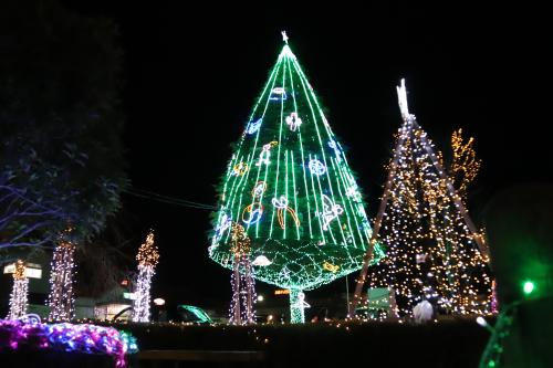 矢板駅前イルミネーションの写真