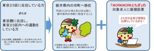 制度の流れ