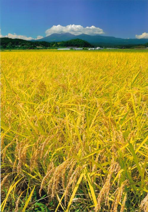 高原山の恵み