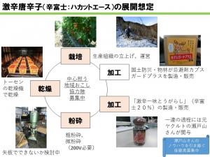 激辛唐辛子の展開想定